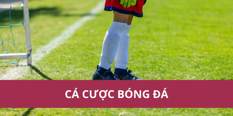 Hướng Dẫn Cá Cược Bóng Đá Chi Tiết Và Chính Xác Nhất 2025  1 Hướng Dẫn Cá Cược Bóng Đá Chi Tiết Và Chính Xác Nhất 2025