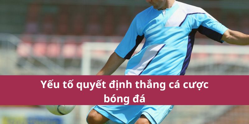 Hướng Dẫn Cá Cược Bóng Đá Chi Tiết Và Chính Xác Nhất 2025  3 Yếu tố quyết định thắng cá cược bóng đá
