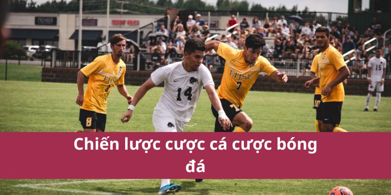 Hướng Dẫn Cá Cược Bóng Đá Chi Tiết Và Chính Xác Nhất 2025  4 Chiến lược cược cá cược bóng đá