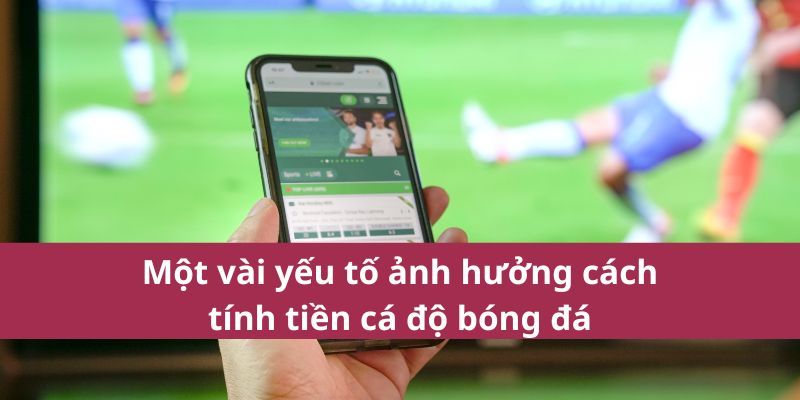 Cách Tính Tiền Cá Độ Bóng Đá Chính Xác Mới Nhất Năm 2025  3 Một vài yếu tố ảnh hưởng cách tính tiền cá độ bóng đá