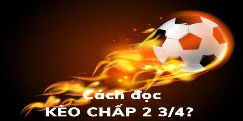 Kèo Chấp 2.75 Hello88 – Cách Chơi Và  Bí Kíp Cá Cược Thú Vị 4 Lý do gì khiến bạn chọn Hello88 để trải nghiệm?